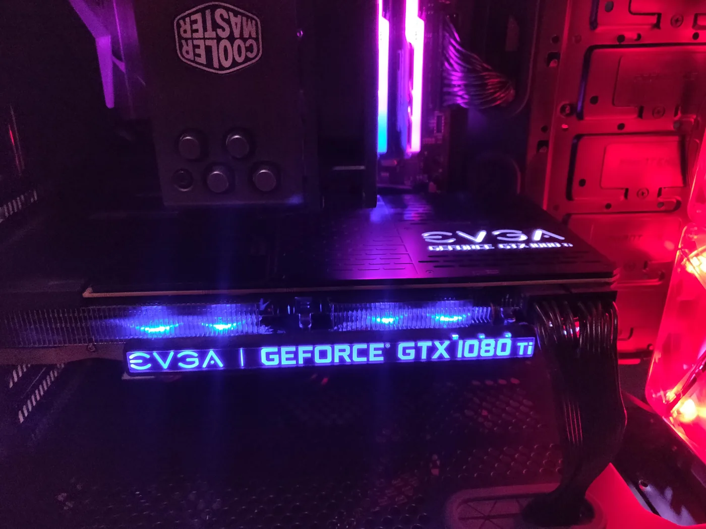 Graphics card installed in the Intel build